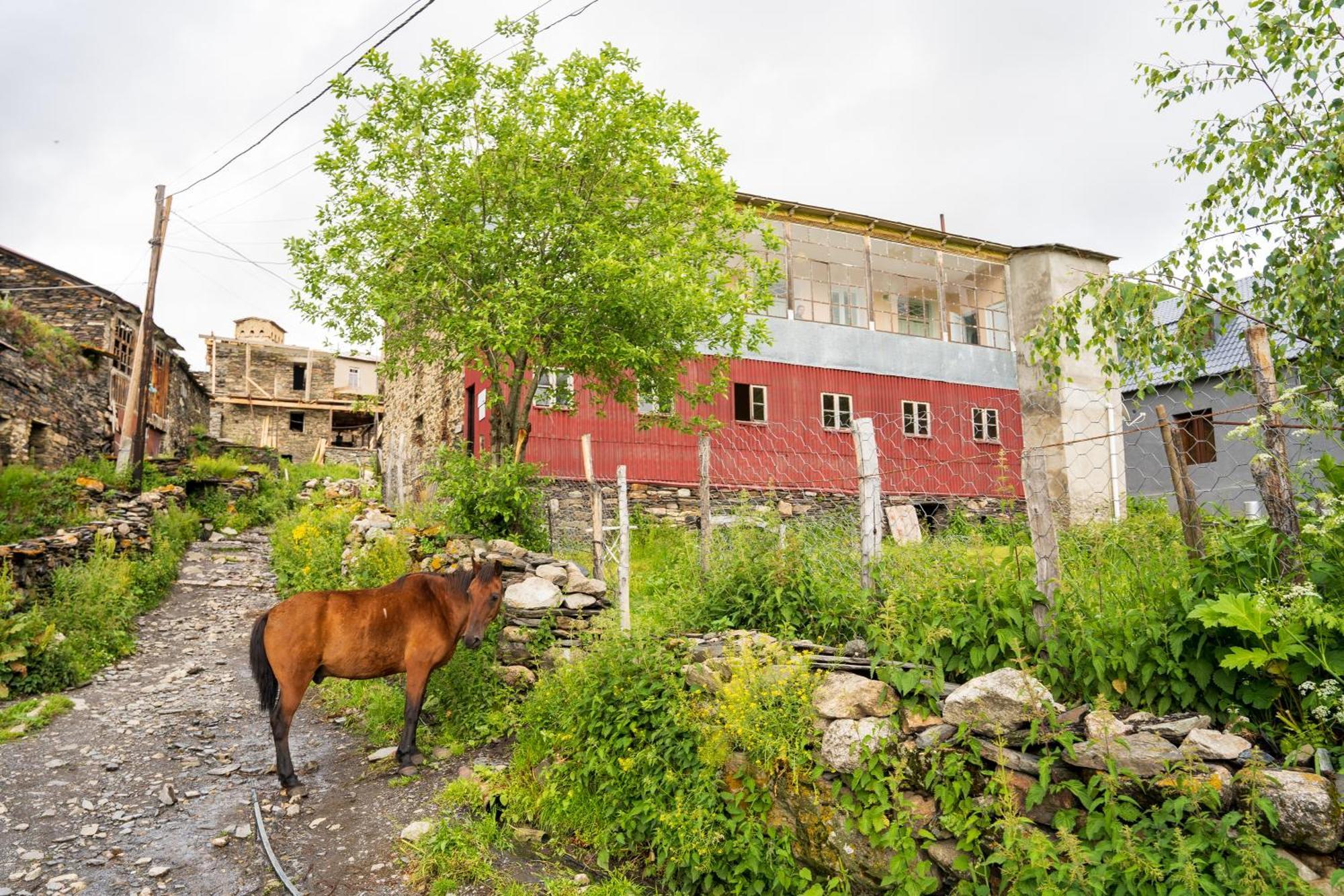 Guesthouse Svani Ushguli Bagian luar foto